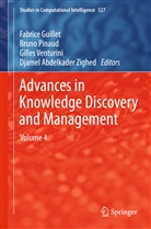 Fabrice Guillet, Brun Pinaud, Bruno Pinaud, Gilles Venturini, Gilles Venturini et al, Djamel Abdelkader Zighed - Advances in Knowledge Discovery and Management. Vol.4