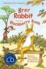 Louie Stowell &amp; Eva Muszynski, Stowell, Louie Stowell, Eva Muszynski - Brer Rabbit and the Blackberry Bush