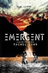 Rachel Cohn - Emergent