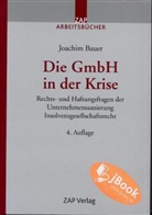 Joachim Bauer - Die GmbH in der Krise