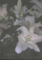 Collectif, Myriam Hornard, HORNARD MYRIAM, Myriam Hornard, Jean-Philippe Uzel - GHOST ARE GUEST