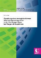 Sandra Seiz - Gestaltung eines strategiekonformen Informationsmanagements in der Pre-Merger-Phase bei Mergers & Acquisitions