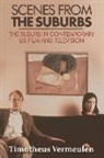 Timotheus Vermeulen, Timotheus (Professor of Media Vermeulen - Scenes From the Suburbs