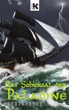 Jörg Benne - Das Schicksal der Paladine, Gestrandet