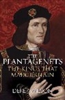 Derek Wilson - The Plantagenets