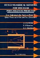 J. J. H. Miller, John J H Miller, John J. H. Miller, E. O'Riordan, Eugene O'Riordan, G I Shishkin... - Fitted Numerical Methods for Singular Perturbation Problems: Error Estimates in the Maximum Norm for Linear Problems in One and Two Dimensions