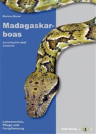 Markus Borer - Madagaskarboas
