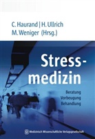 Christoph Haurand, Heiko Ullrich, Heik Ullrich (Dr. med.), Matthias Weniger, Matt Weniger (Dr. med.) - Stressmedizin
