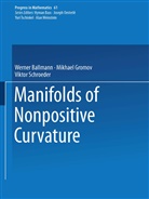 Werne Ballmann, Werner Ballmann, Mikhael Gromov, Mish Gromov, Misha Gromov, Viktor Schroeder - Manifolds of Nonpositive Curvature