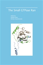 D'Eustachio, D'Eustachio, Peter D'Eustachio, Mar Rush, Mark Rush - The Small GTPase Ran