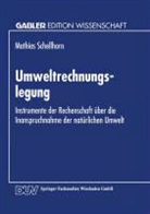 Matthias Schellhorn - Umweltrechnungslegung
