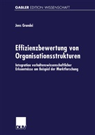 Jens Grundei - Effizienzbewertung von Organisationsstrukturen