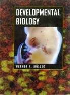 Werner A. Mueller, Werner Müller, Werner A Müller, Werner A. Müller - Developmental Biology