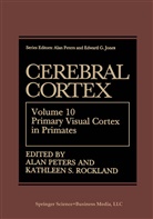 Ala Peters, Alan Peters, Kathleen S. Rockland, S Rockland, S Rockland - Cerebral Cortex
