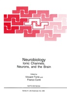 Franc Conti, Franco Conti, Torre, Torre, Vincent Torre - Neurobiology