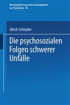 Ulrich Schnyder - Die psychosozialen Folgen schwerer Unfälle