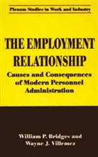 William Bridges, William P Bridges, William P. Bridges, Wayne J Villemez, Wayne J. Villemez - The Employment Relationship