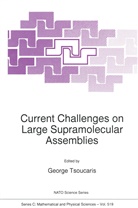 George Tsoucaris, Georges Tsoucaris - Current Challenges on Large Supramolecular Assemblies