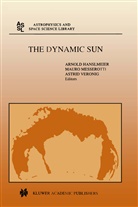 A. Hanslmeier, Arnold Hanslmeier, Maur Messerotti, Mauro Messerotti, Astrid Veronig - The Dynamic Sun