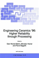 G. N. Babini, G.N. Babini, Mirosla Haviar, Miroslav Haviar, Pavol Sajgalík - Engineering Ceramics '96: Higher Reliability through Processing