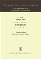 Hans Kremer - Flammenstabilität bei Gasbrennern mit Gebläse