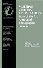 Xavie Gandibleux, Xavier Gandibleux - Multiple Criteria Optimization