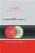 Hestenes, D Hestenes, D. Hestenes, David Hestenes, Weingartshofer, Weingartshofer... - The Electron
