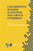 Luis M. Camarinha-Matos, Lui M Camarinha-Matos, Luis M Camarinha-Matos - Collaborative Business Ecosystems and Virtual Enterprises