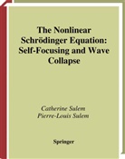 Catherin Sulem, Catherine Sulem, Pierre-Louis Sulem - The Nonlinear Schrödinger Equation