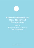 Vinc Castranova, Vince Castranova, William G. Perry, Xianglin Shi, Val Vallyathan, Val et Vallyathan... - Molecular Mechanisms of Metal Toxicity and Carcinogenesis