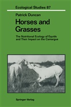 Patrick Duncan - Horses and Grasses