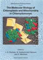 Goldschmidt-Clermont, M Goldschmidt-Clermont, M. Goldschmidt-Clermont, Michel Goldschmidt-Clermont, Sabeeha Merchant, J. -D. Rochaix... - The Molecular Biology of Chloroplasts and Mitochondria in Chlamydomonas
