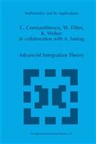 Corneli Constantinescu, Corneliu Constantinescu, Wolfgan Filter, Wolfgang Filter, K Weber, K. Weber... - Advanced Integration Theory