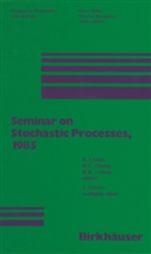 CHuN, Chung, Chung, K. I. Chung, Cinla, Cinlar... - Seminar on Stochastic Processes, 1985