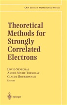 Claude Bourbonnais, David S¿chal, David Sénéchal, Andre-Mari Tremblay, Andre-Marie Tremblay - Theoretical Methods for Strongly Correlated Electrons