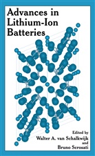 Walter van Schalkwijk, Scrosati, Scrosati, B. Scrosati, Bruno Scrosati, Walte van Schalkwijk... - Advances in Lithium-Ion Batteries