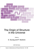 Gunzig, E Gunzig, E. Gunzig, Nardone, Nardone, P. Nardone - The Origin of Structure in the Universe