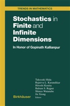 Takeyuki Hida, Rajeeva L. Karandikar, Hiroshi Kunita, Hiroshi Kunita et al, Rajeev L Karandikar, Rajeeva L Karandikar... - Stochastics in Finite and Infinite Dimensions