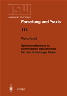 Franz Krauss - Splineverarbeitung in numerischen Steuerungen für das fünfachsige Fräsen