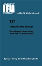 Joachim Schondelmaier - Grundlagenuntersuchung über das Taumelpressen