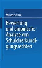 Michael Schulze - Bewertung und empirische Analyse von Schuldnerkündigungsrechten