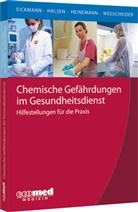 Ud Eickmann, Udo Eickmann, Gabriel Halsen, Gabriele Halsen, André Heinemann, André u Heinemann... - Chemische Gefährdungen im Gesundheitsdienst