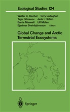 Terr Callaghan, Terry Callaghan, Tagir Gilmanov, Tagir Gilmanov et al, Jarle I. Holten, Barrie Maxwell... - Global Change and Arctic Terrestrial Ecosystems