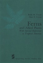 A F. Tryon, A. F. Tryon, Alice F Tryon, R. M. Tryon, R.M. Tryon, Rolla Tryon... - Ferns and Allied Plants