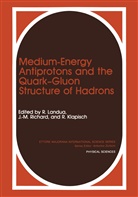 R. Klapisch, Landua, R Landua, R. Landua, J M Richard, J. M. Richard... - Medium-Energy Antiprotons and the Quark-Gluon Structure of Hadrons