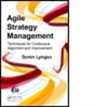 Soren Lyngso, Soren (Lyngso Informatique) Lyngso, Lyngso Soren - Agile Strategy Management