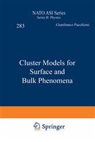 Paul S. Bagus, Gianfranco Pacchioni, Fulvio Parmigiani, Pau S Bagus, Paul S Bagus - Cluster Models for Surface and Bulk Phenomena