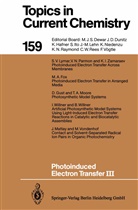 Joche Mattay, Jochen Mattay - Photoinduced Electron Transfer III
