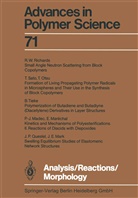 Analysis/Reactions/Morphology