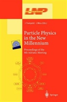Josi Trampetic, Josip Trampetic, WESS, Wess, Julius Wess - Particle Physics in the New Millennium